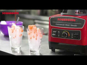 Commercial Mixer Blender 1600W